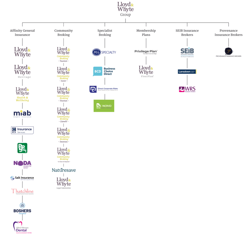 Lloyd & Whyte Structural Organisation Chart