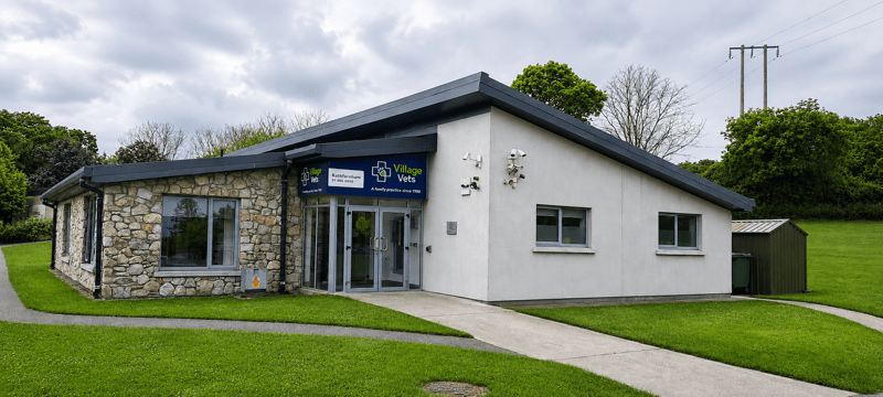 Village Vets Rathfarnham