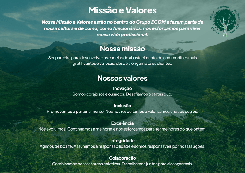 ECOM Values Portuguese