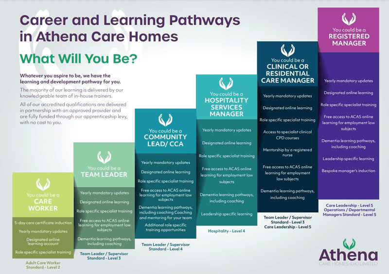 Care career pathway