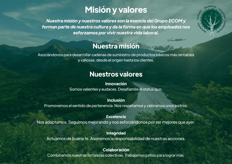 ECOM Values Spanish