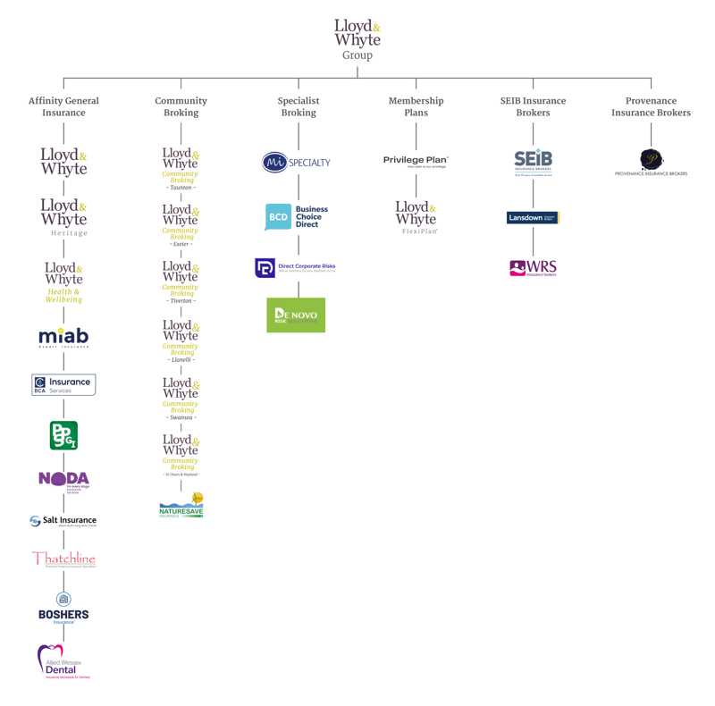 Lloyd & Whyte Structure Chart