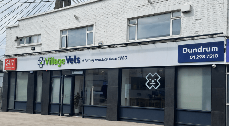 Village Vets Dundrum
