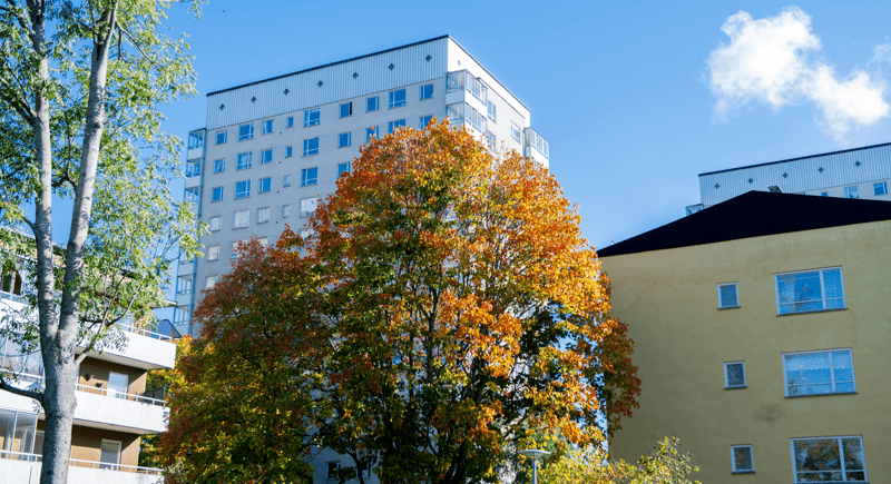 Flerbostadshus i olika storlekar och färger mot en blå himmel och träd i höstfärger.